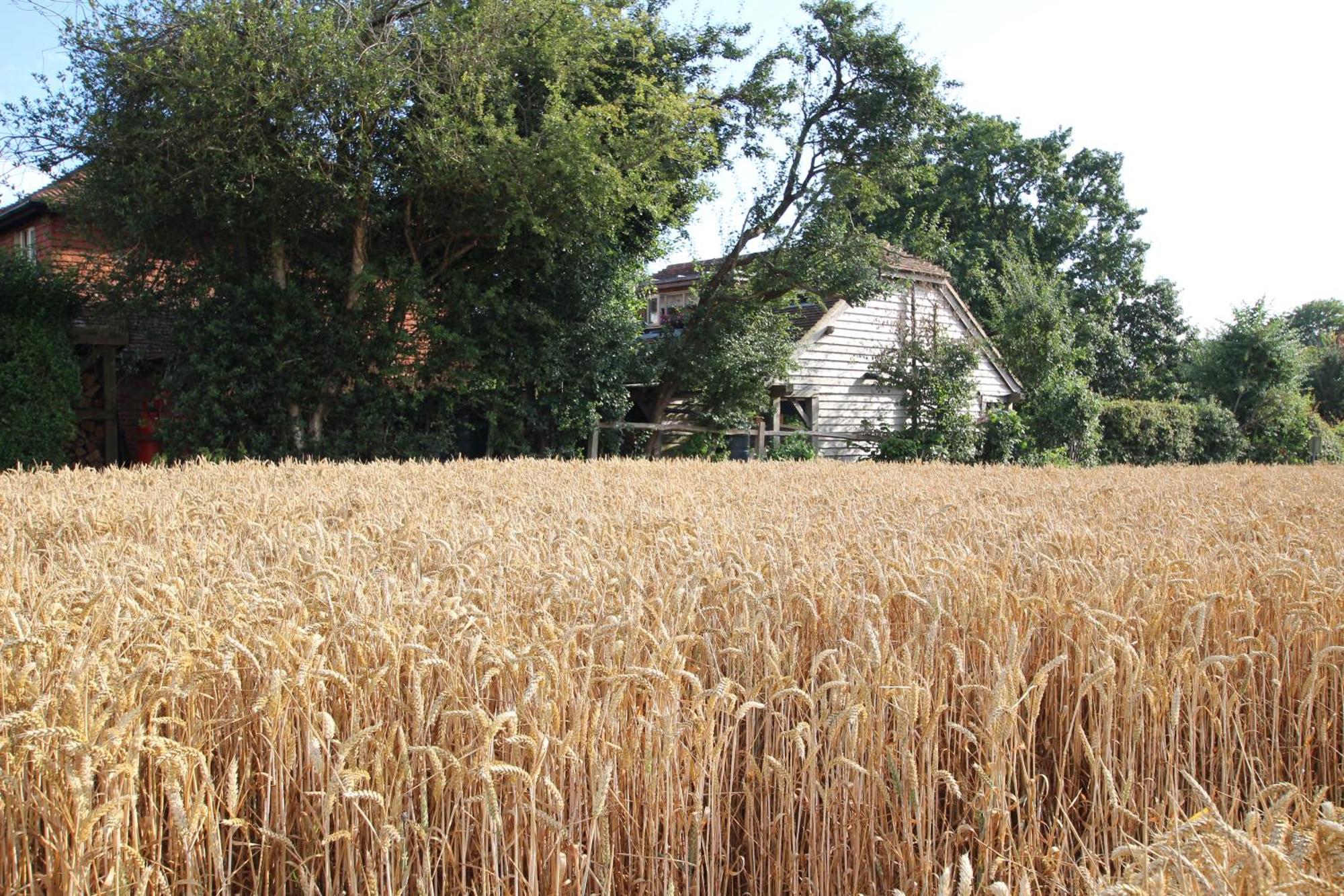 Cowslip Barn Annexe, Countryside Stay Near 치체스터 외부 사진